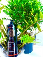 SHAMPOO ANTI-RESÍDUO ABSOLUT REPAIR VH0020